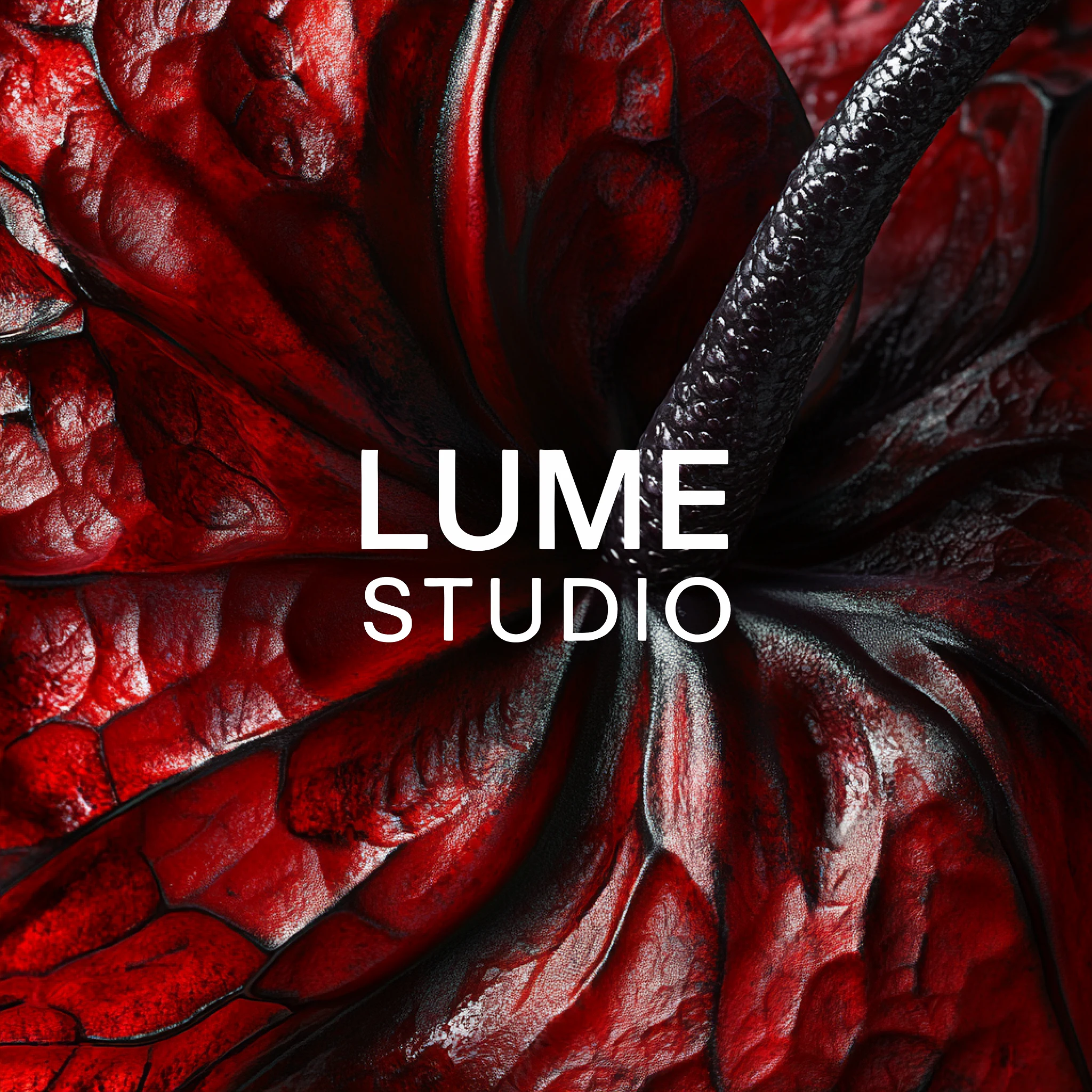 Lume Studio — project cover