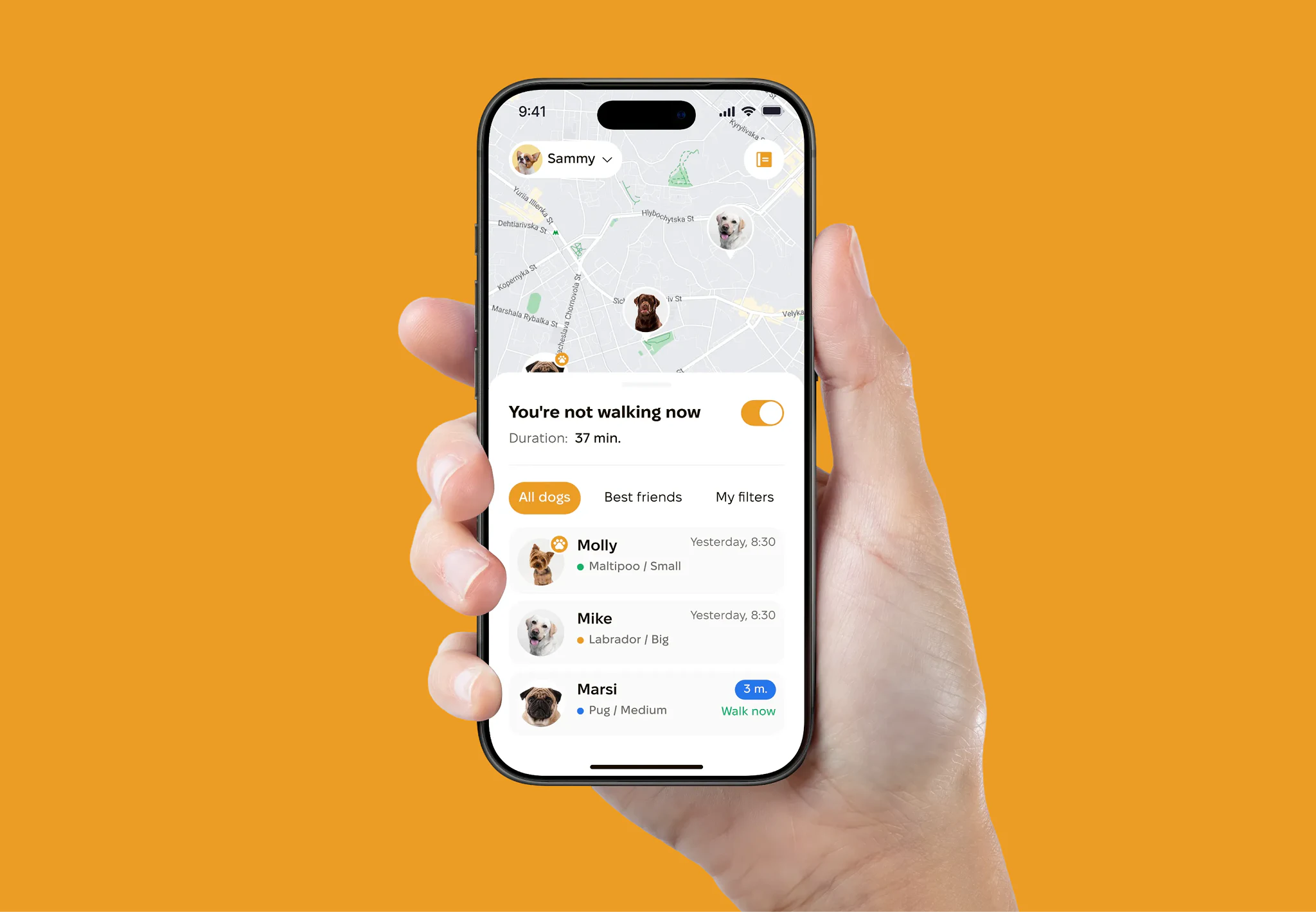 PackPawer — app on phone screens